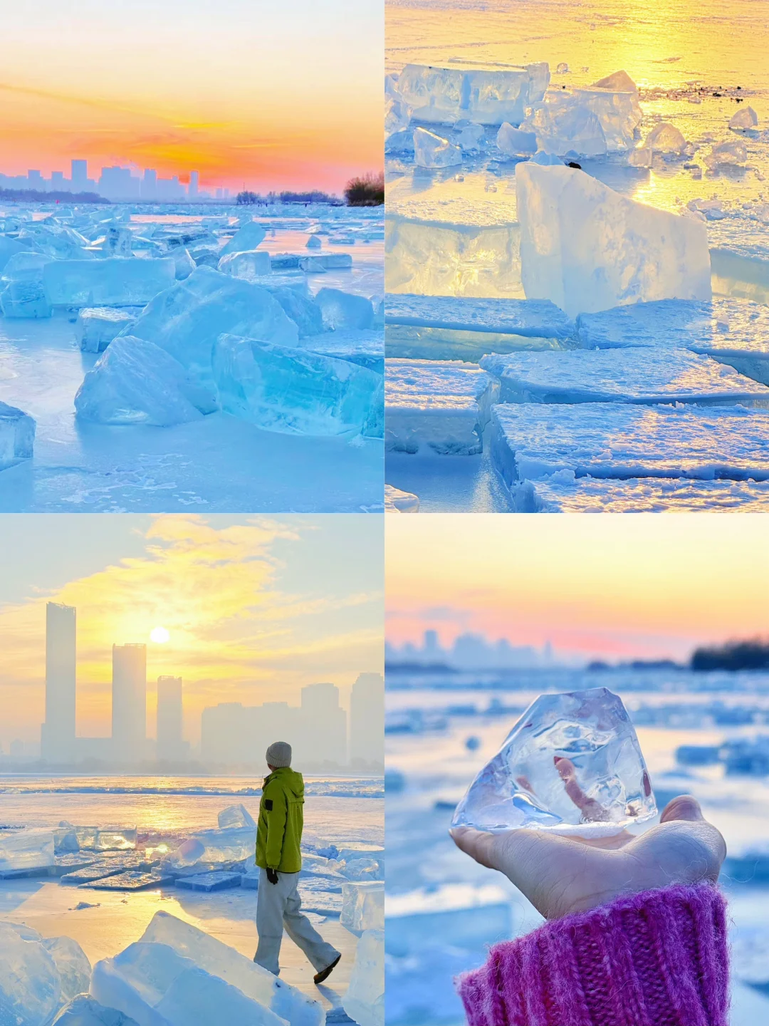 哈尔滨刚回，对自己的攻略满意到睡不着😭😭