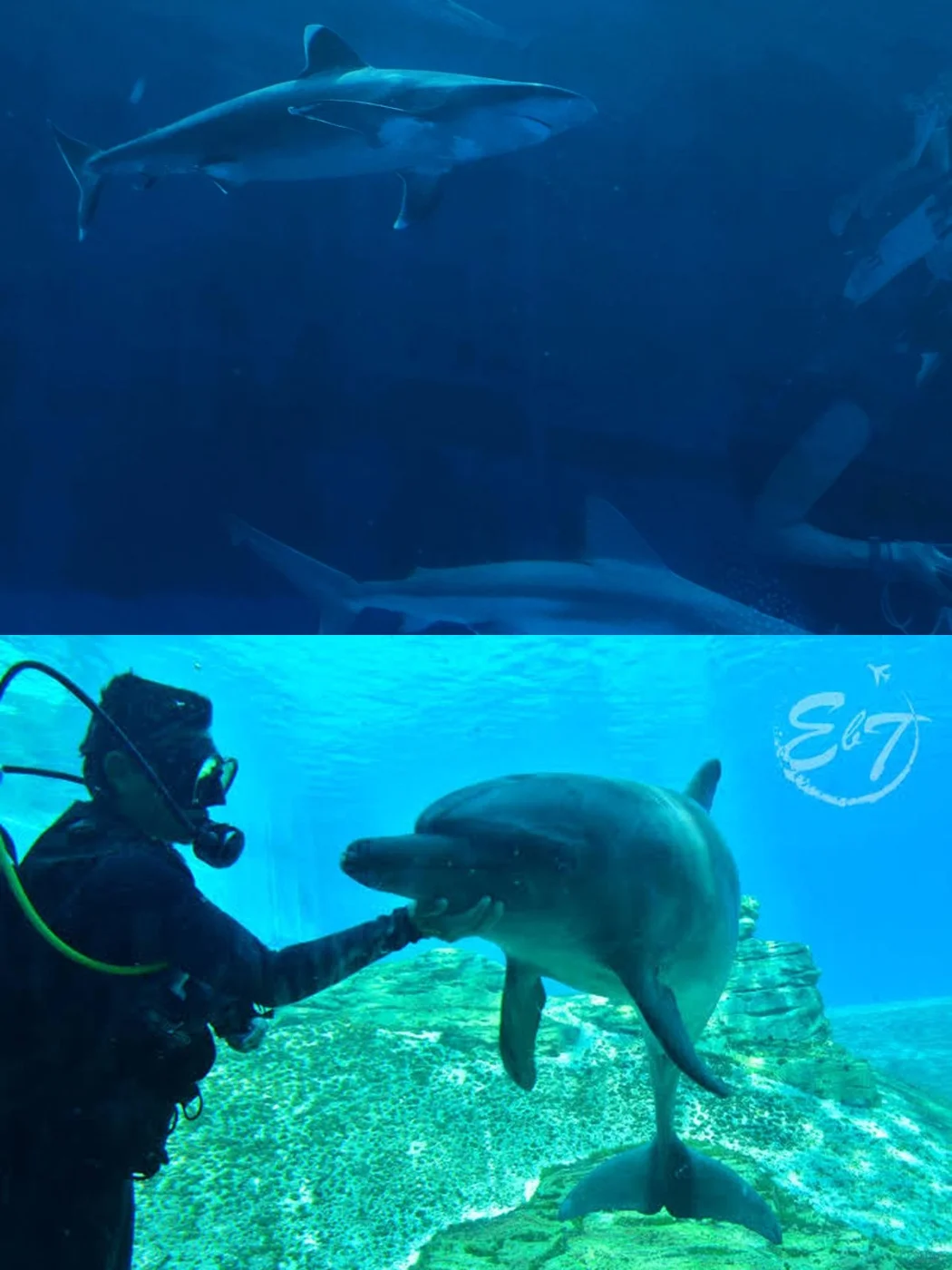 一张通票搞定新加坡4个热门景点！超省钱！