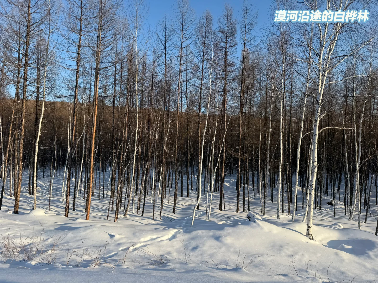 南方人的漠河冰雪之旅 必逛景点&避坑指南