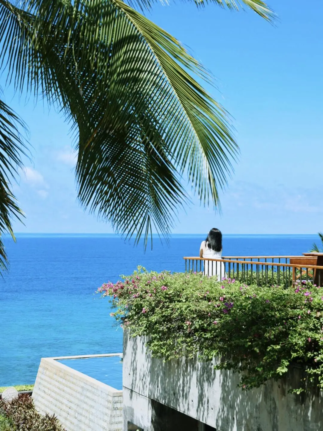 春节来三亚酒店怎么选？一图看懂附游玩攻略