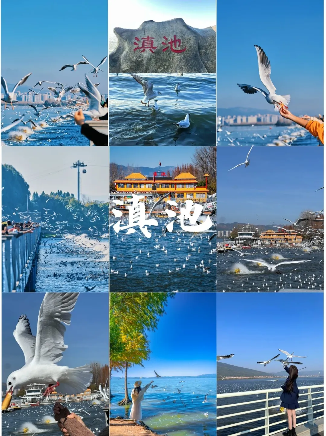 别再瞎找啦！昆明这几个景点超绝✨