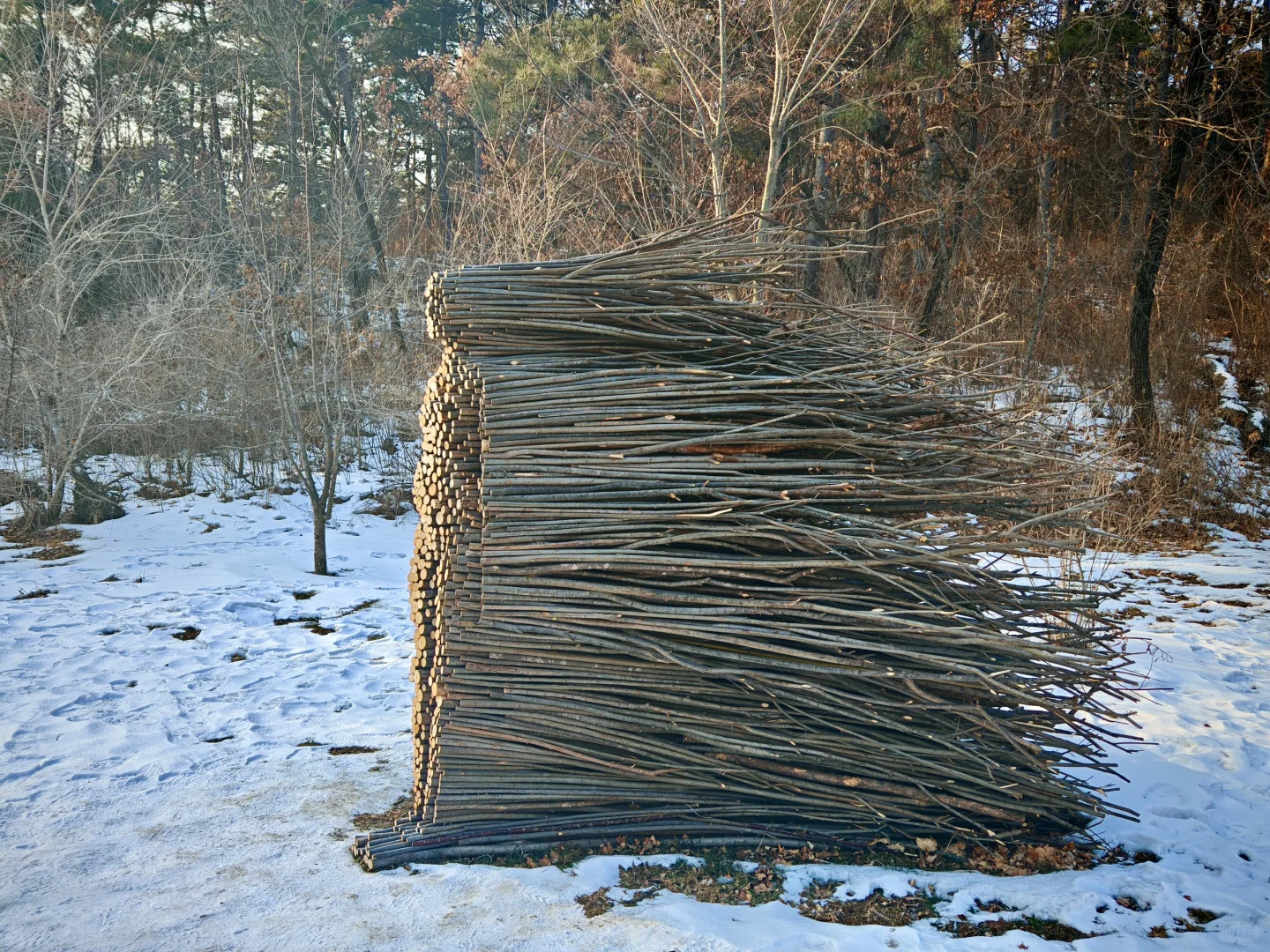 长春旅游景点推荐