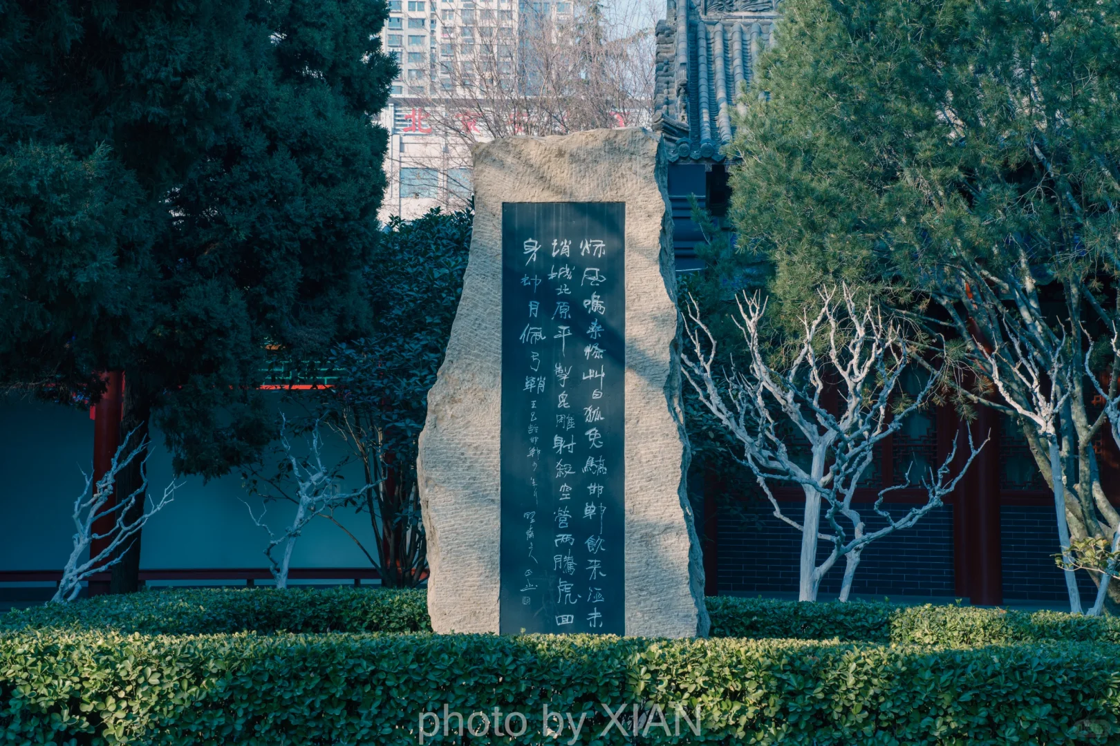 丛 台 留 念二〇二五.一.