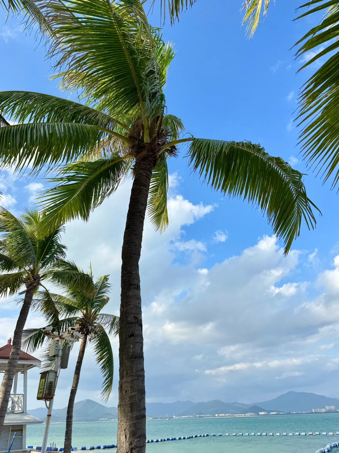 震惊😢这么全的西岛景点大合集（live版