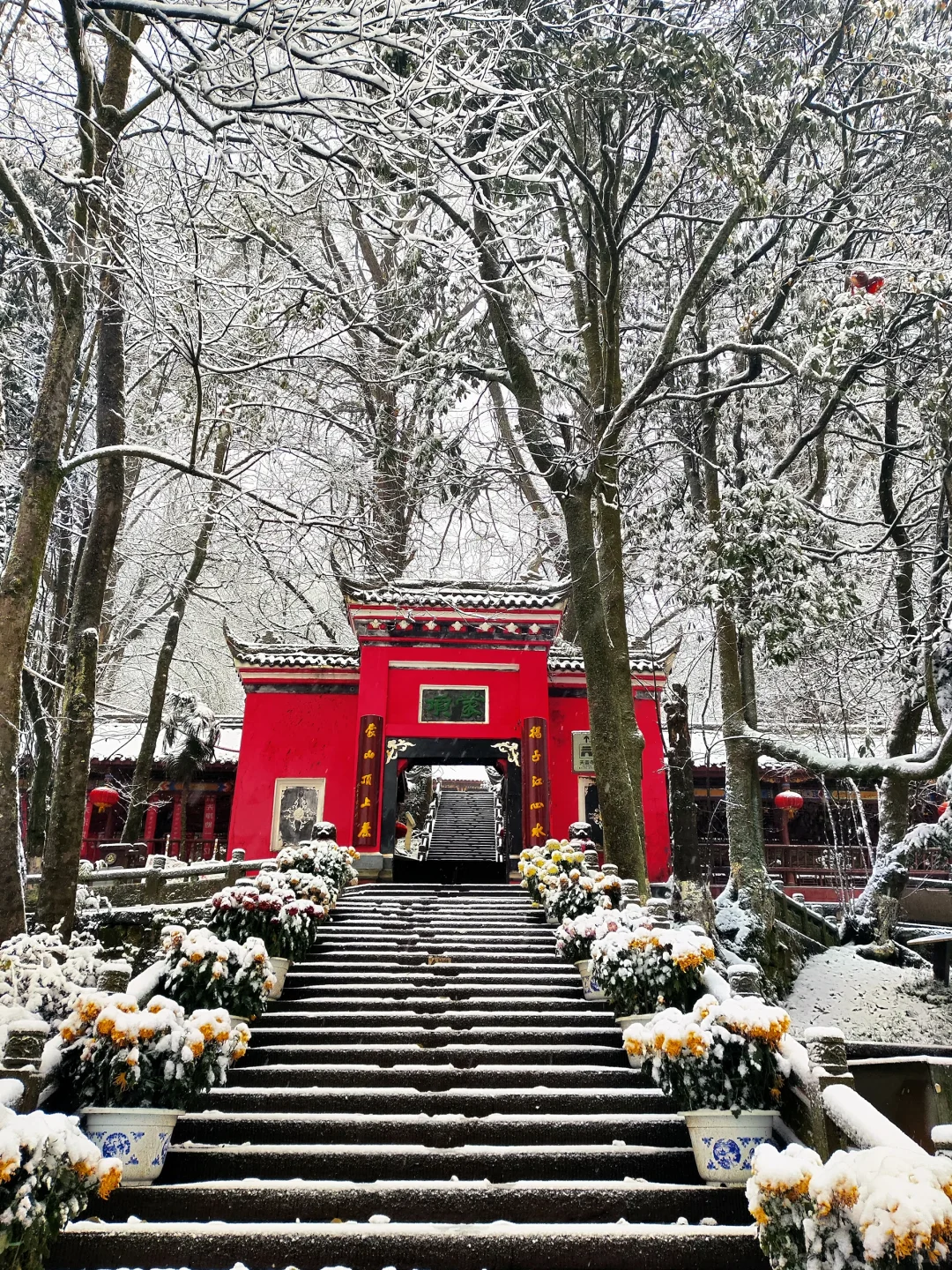 以为川西已经够美了，直到我去了这里…