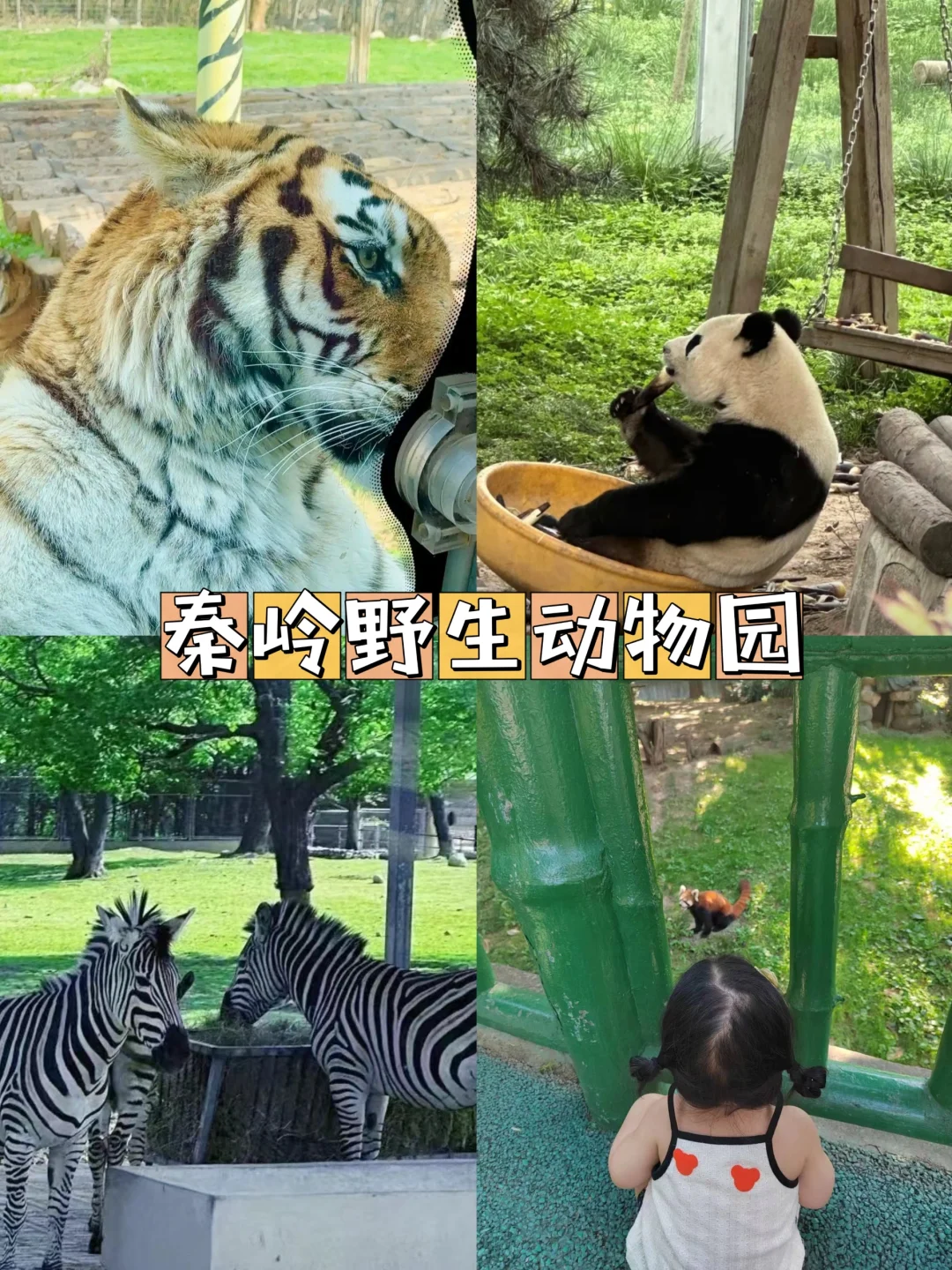 带娃来西安｜🔥不能错过六大景点｜附攻略