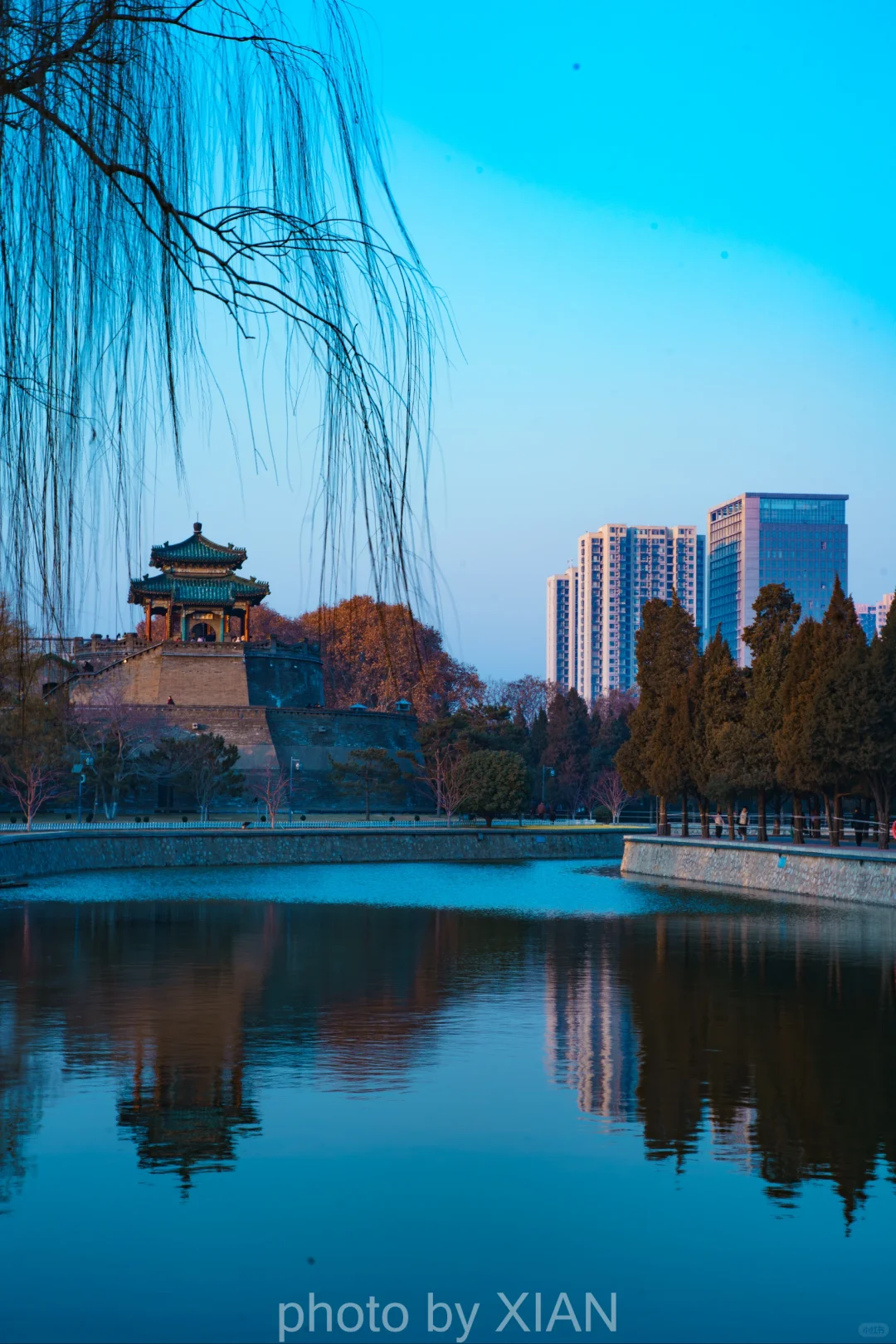 丛 台 留 念二〇二五.一.