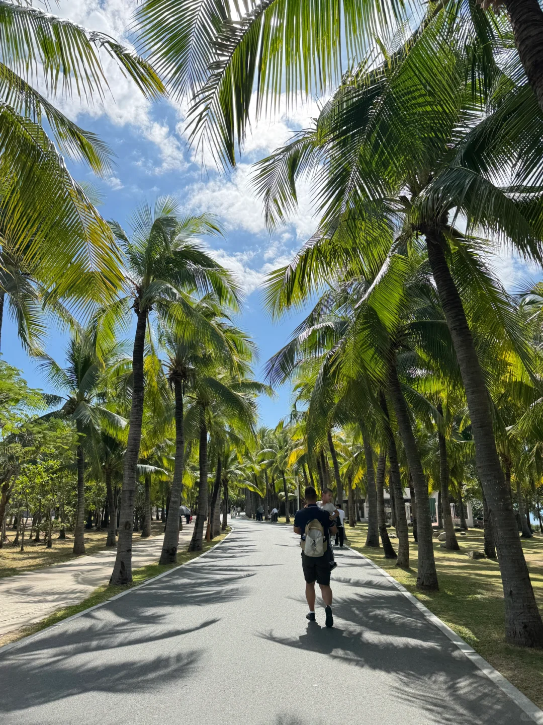 震惊😢这么全的西岛景点大合集（live版