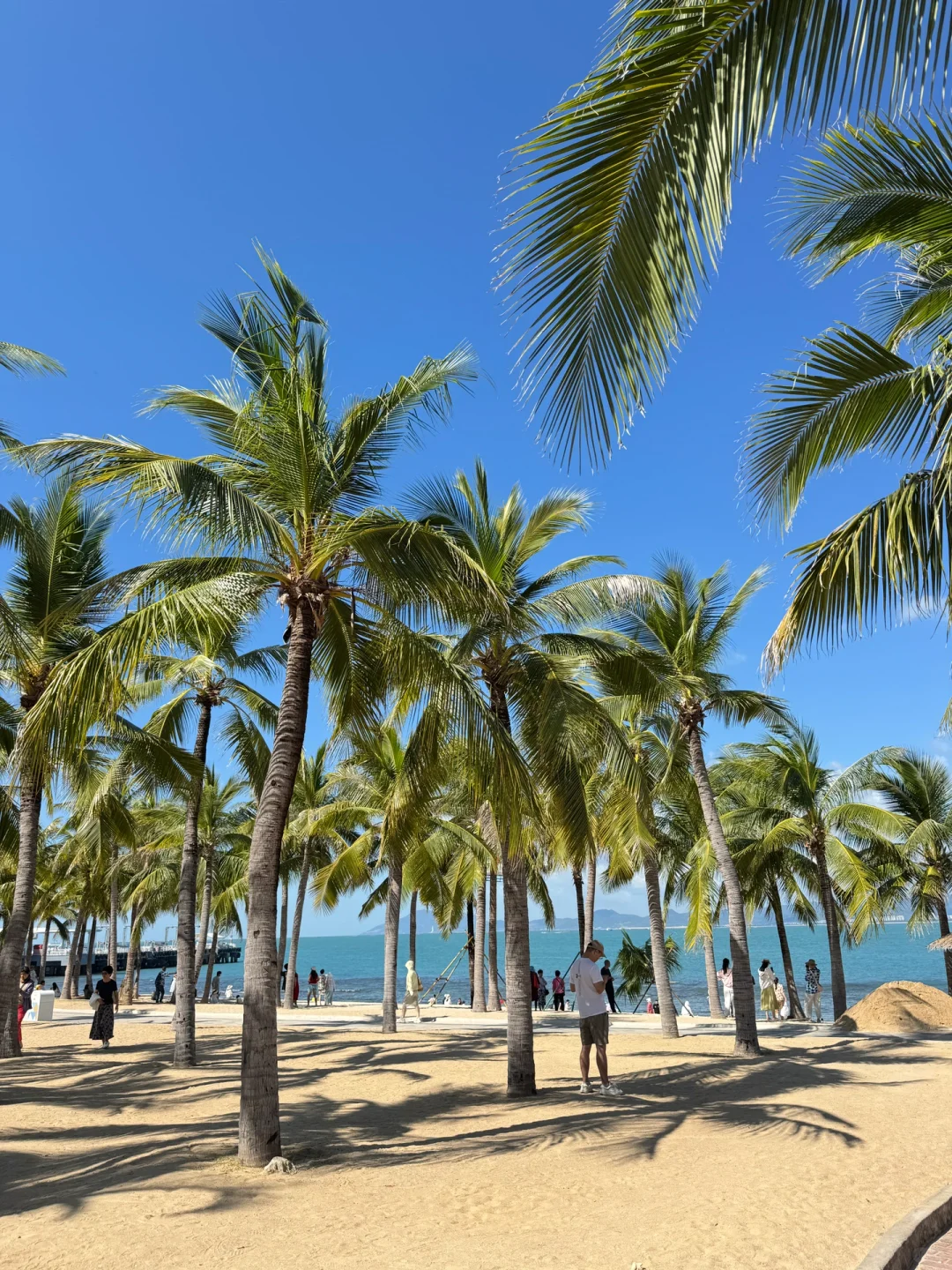 震惊😢这么全的西岛景点大合集（live版