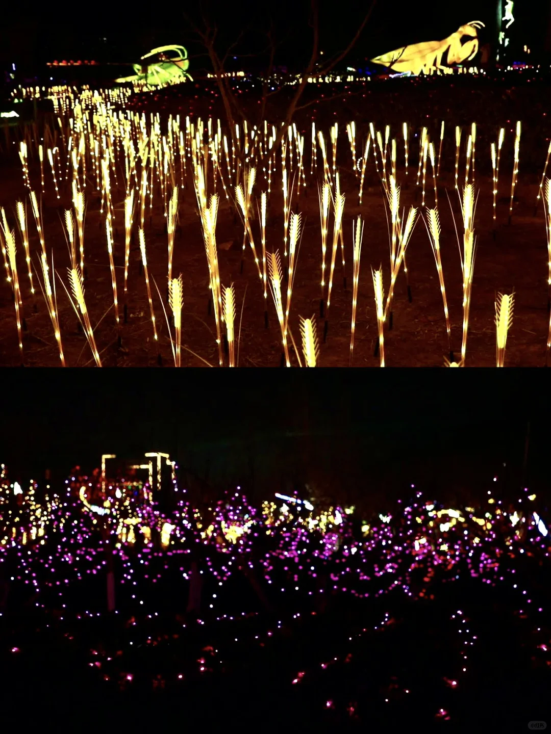 邯郸新晋打卡地｜在馆陶拍出人生照片！