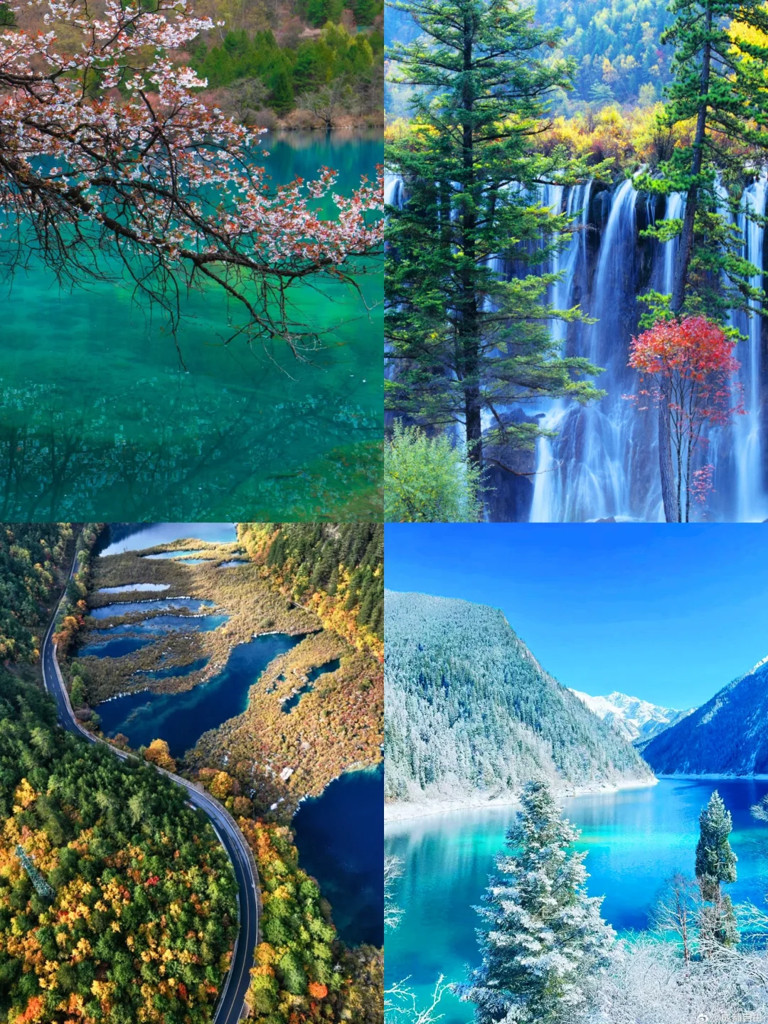 和喜欢的人💕去这6⃣️个喜欢的地方啦