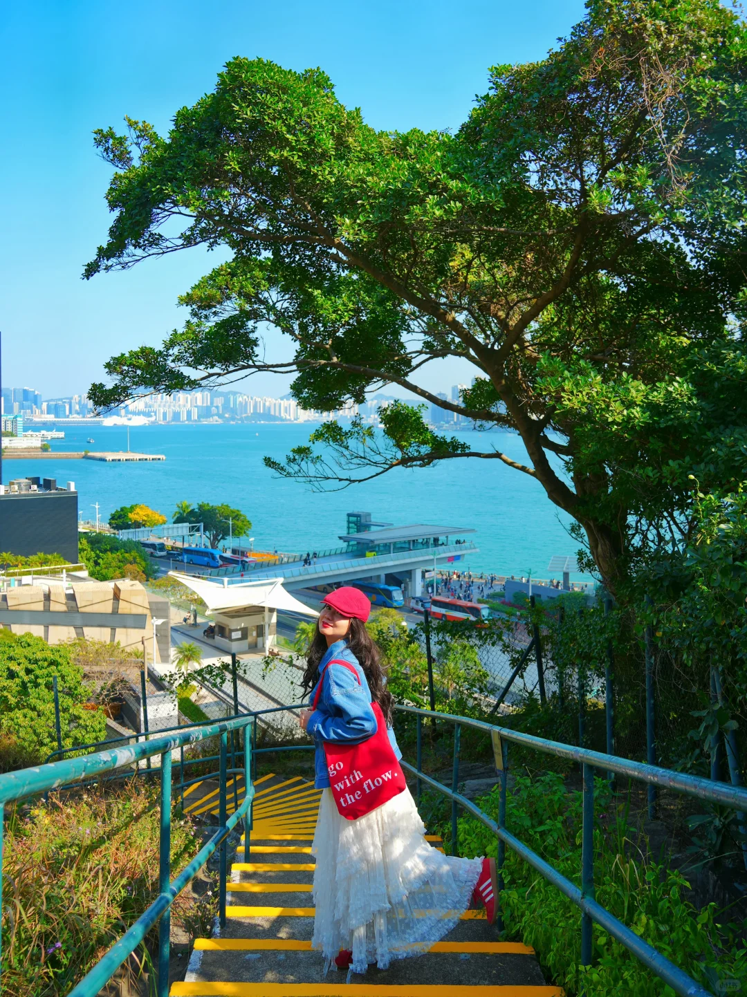 香港很少有人知的巴士游！轻松打卡16个景点！