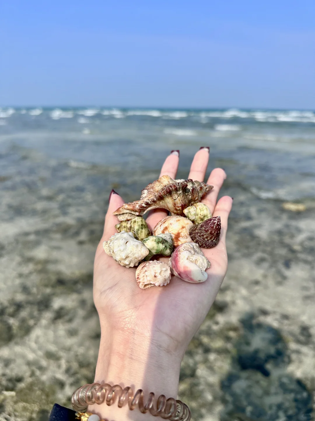 震惊😱这么全的涠洲岛景点大合集（live版）