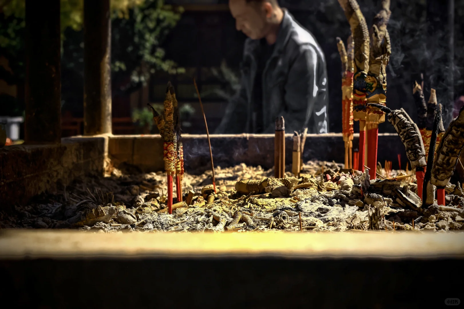 就爱去免费的景点