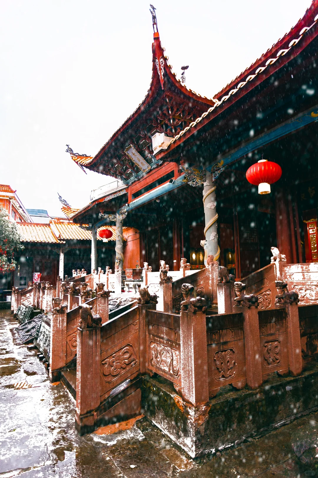 在福建！！在福建！！后悔没早点来！！！😭😭