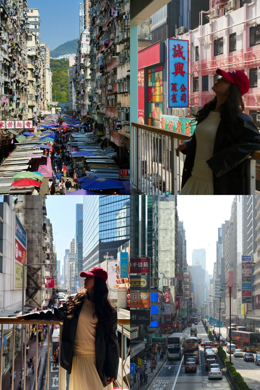 香港很少有人知的巴士游！轻松打卡16个景点！