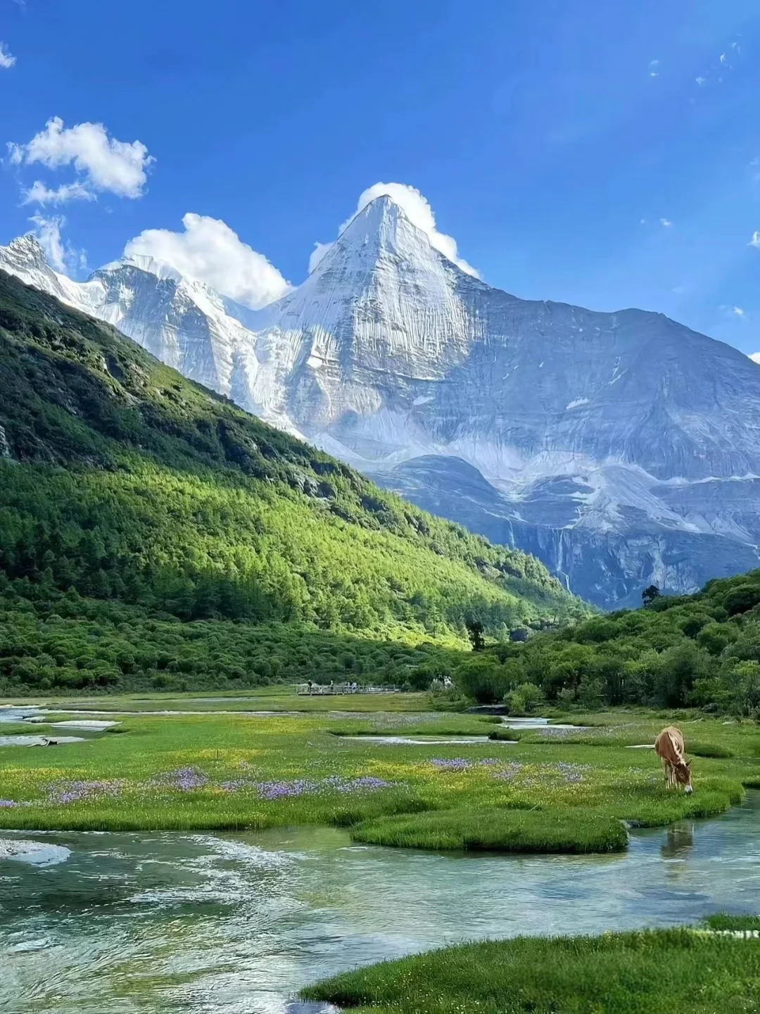 川西，真的美哭😭我