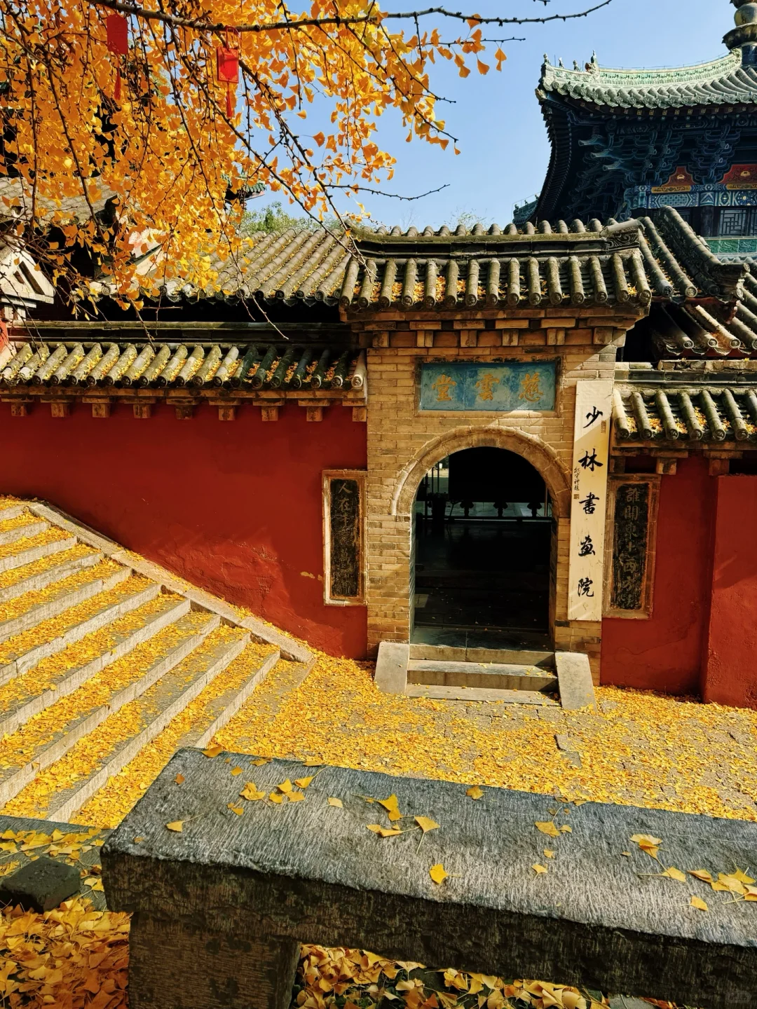 广州-郑州、开封、洛阳7日游