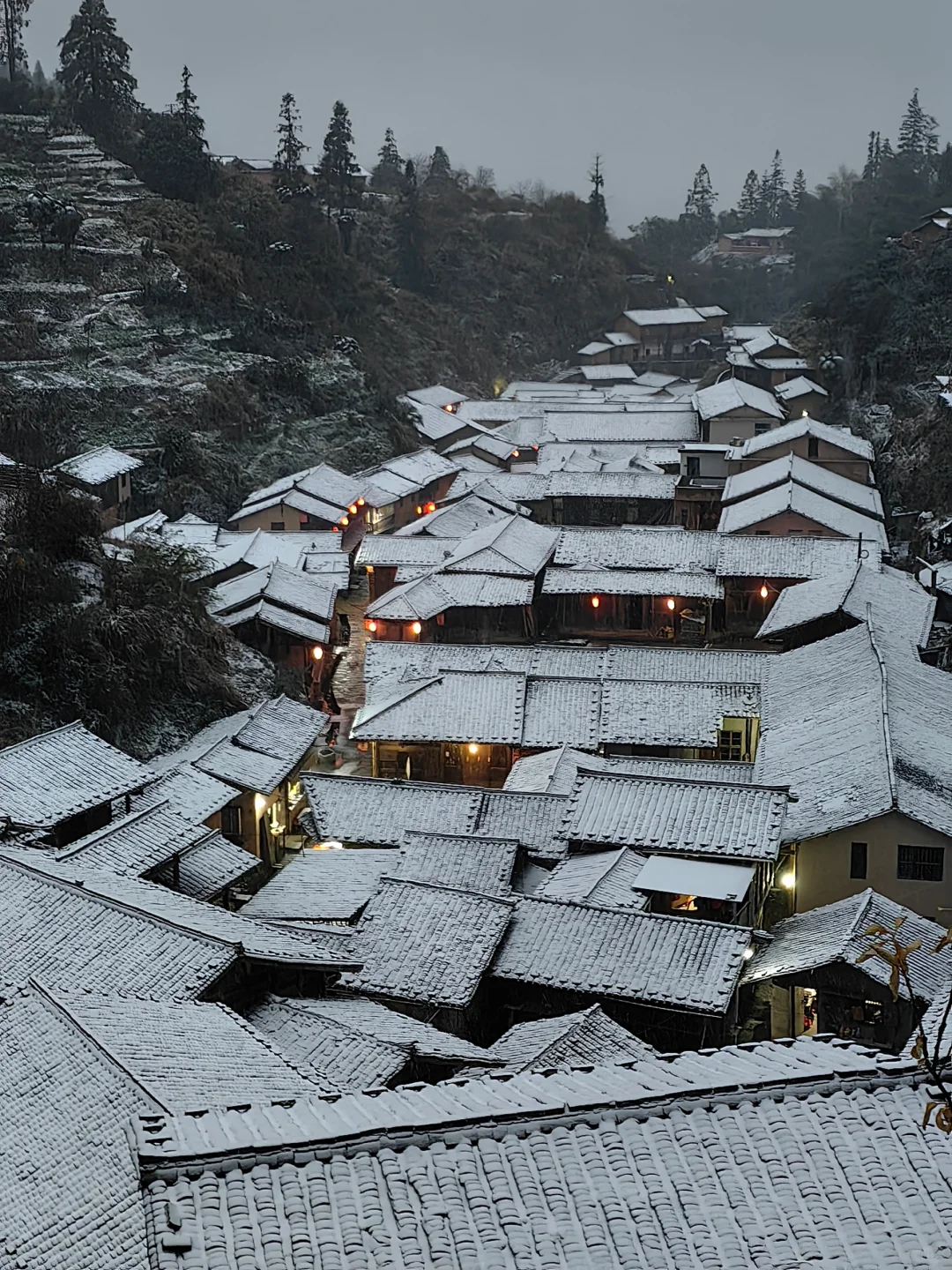 在福建！！在福建！！后悔没早点来！！！😭😭