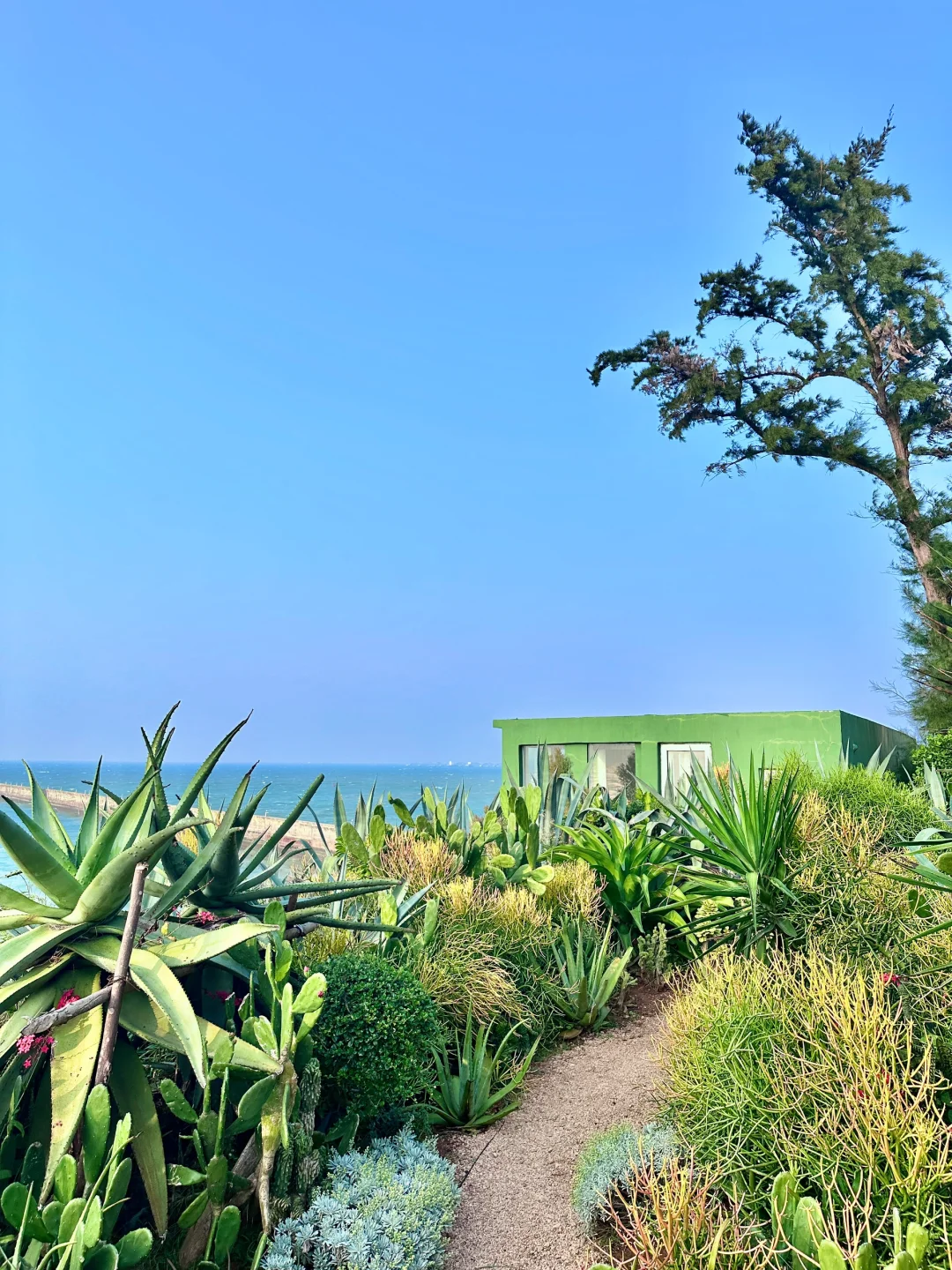 震惊😱这么全的涠洲岛景点大合集（live版）