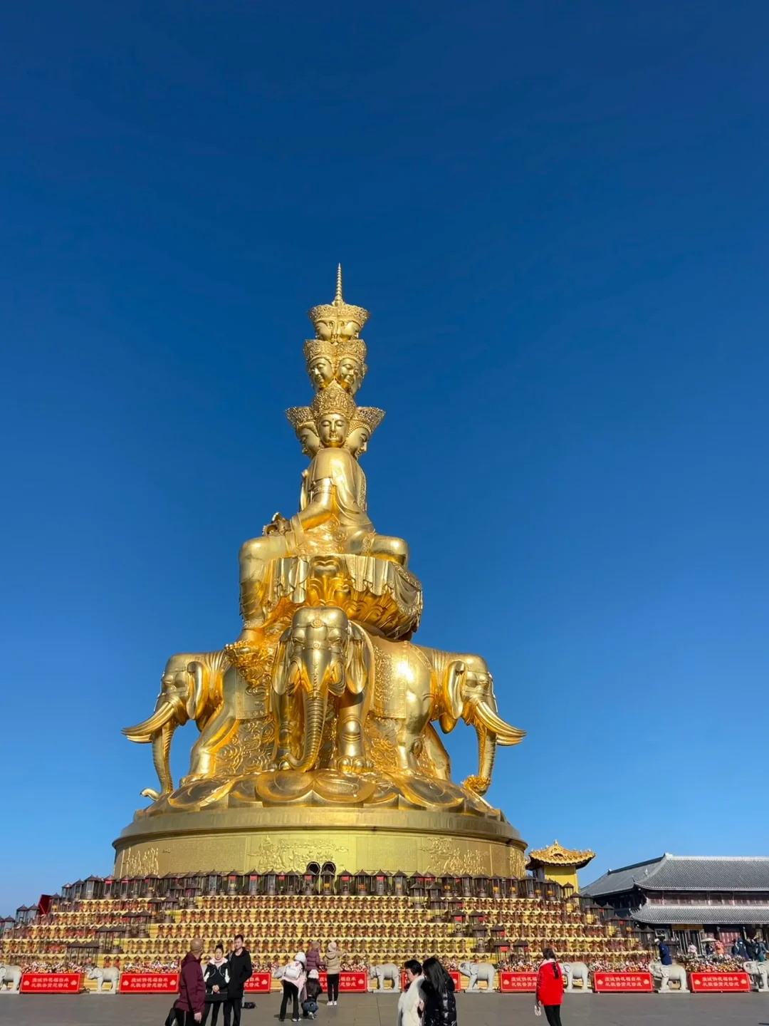 四川书路｜五天四晚正确打开方式✅精华路线