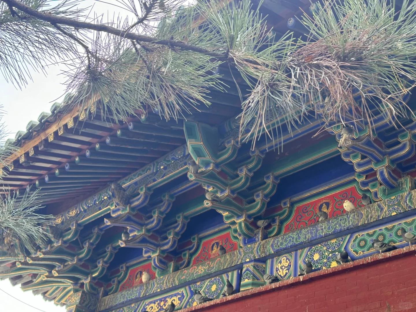 广州-郑州、开封、洛阳7日游