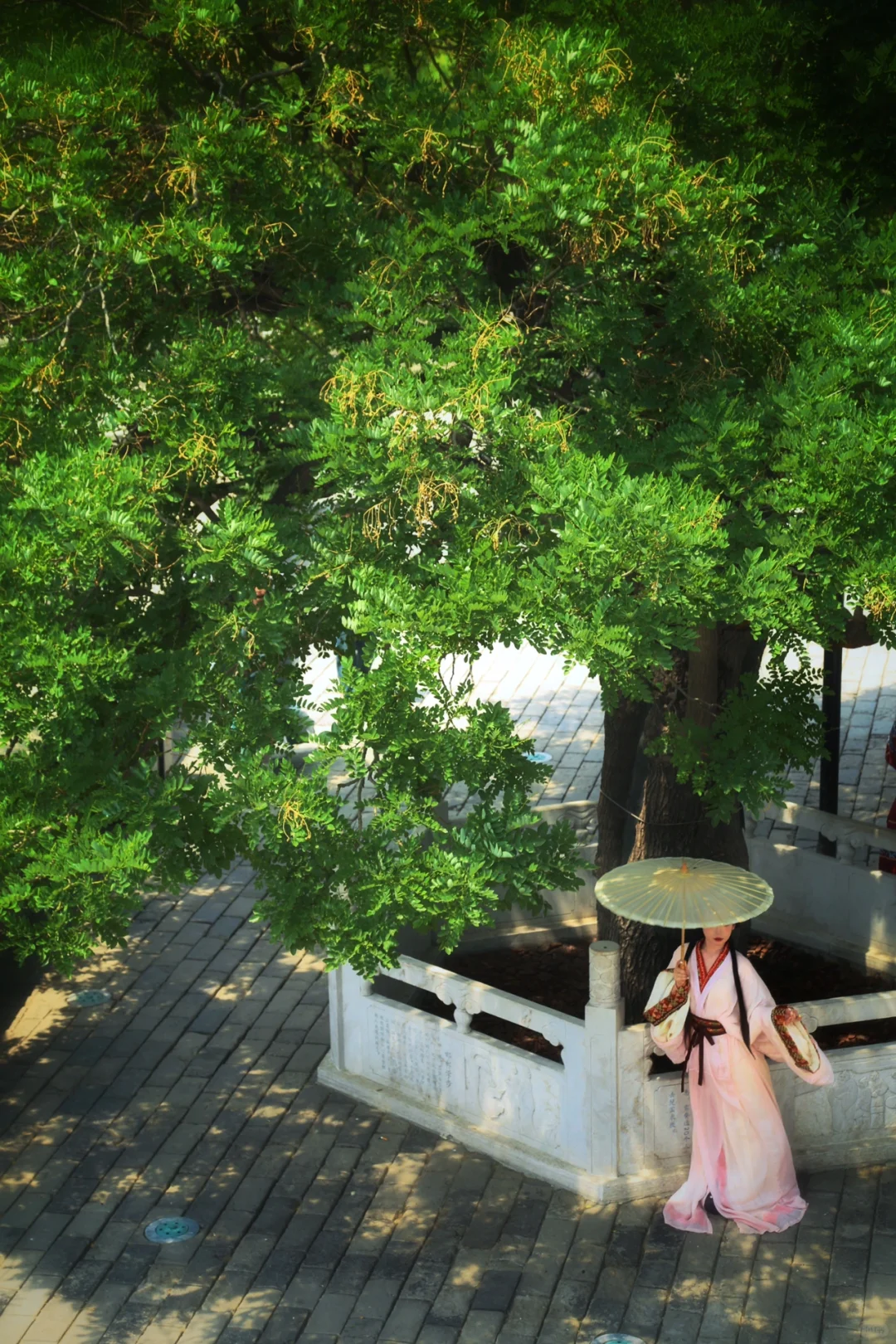 邯郸一日| 🌿武灵丛台➕邯郸市博物馆📜