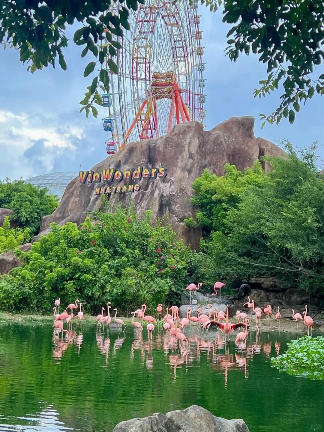 第一次来越南芽庄，必去这11个景点‼️🇻🇳