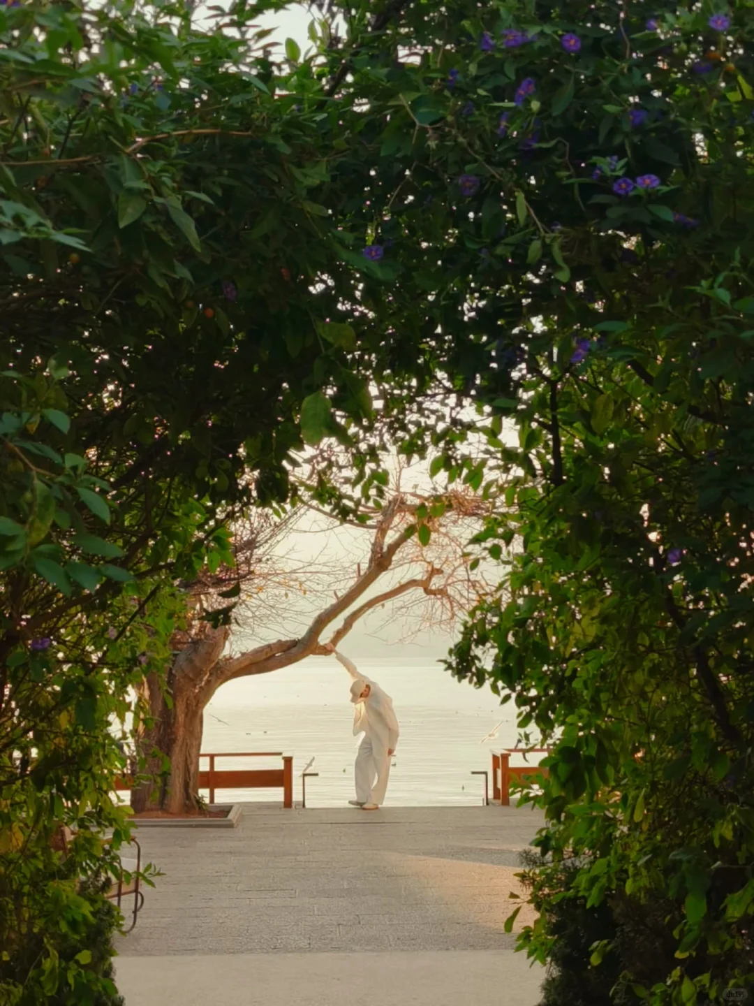 2024旅行结算｜生命就应该浪费在这样的地方