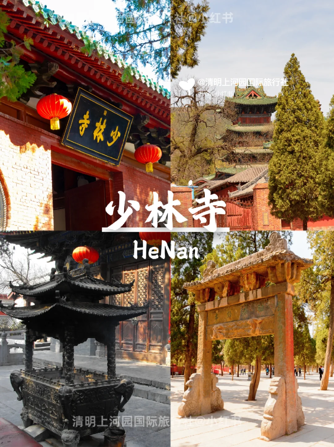 春节来河南旅游不绕路❗超全版懒人攻略🥳