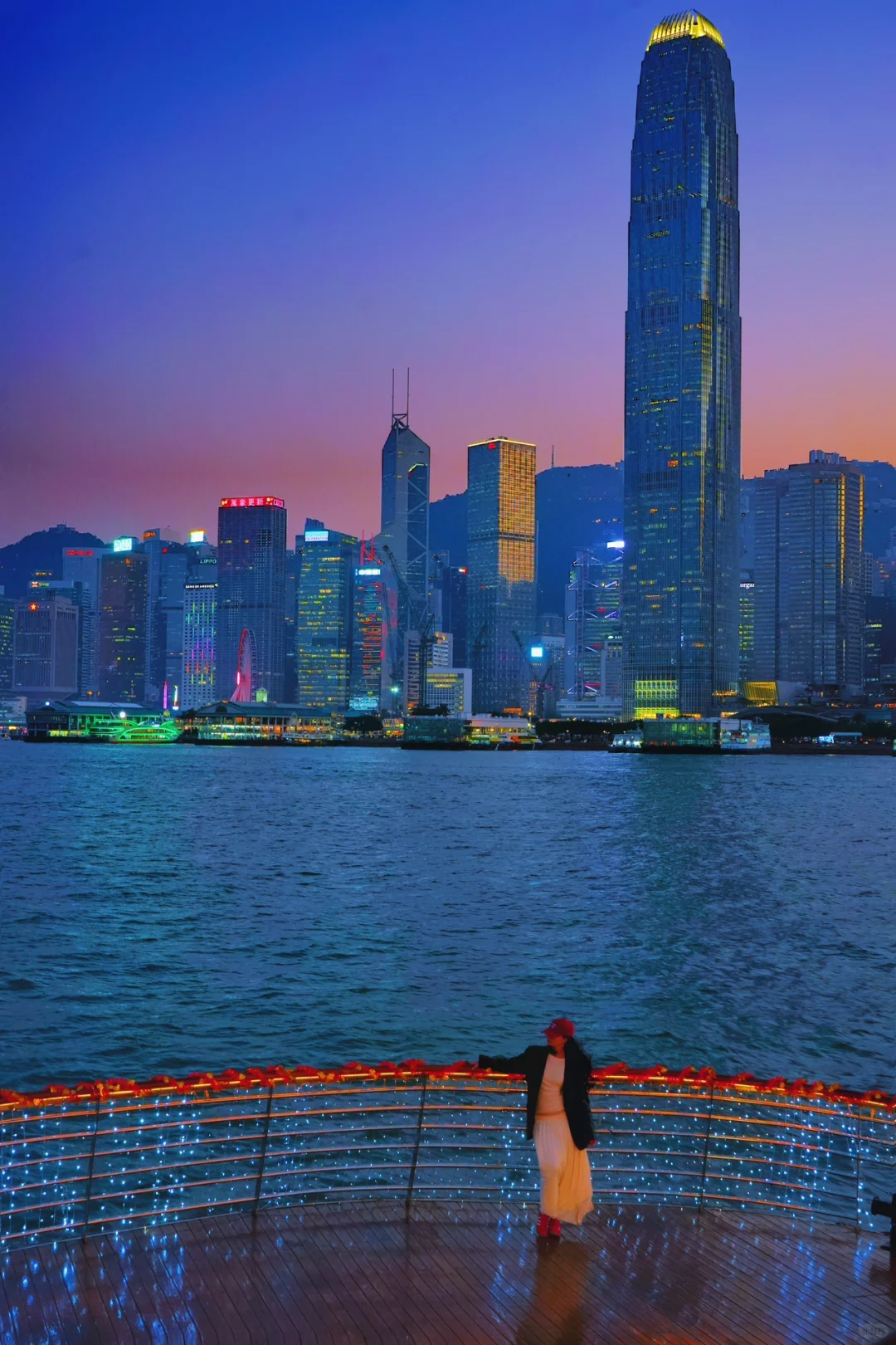 香港很少有人知的巴士游！轻松打卡16个景点！