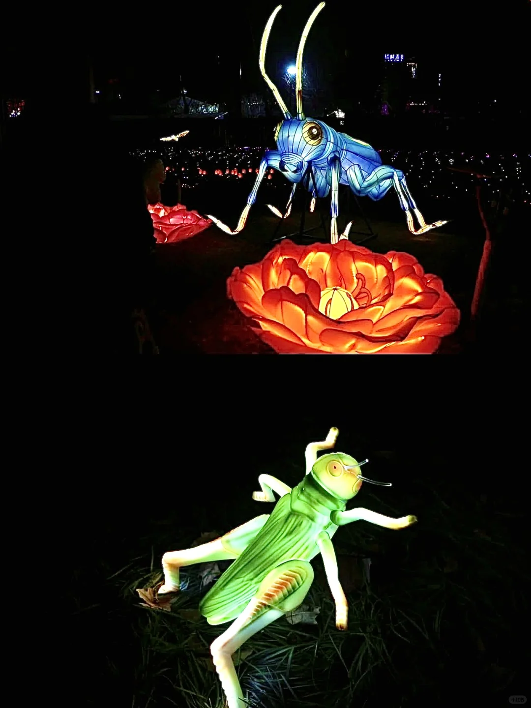 邯郸新晋打卡地｜在馆陶拍出人生照片！