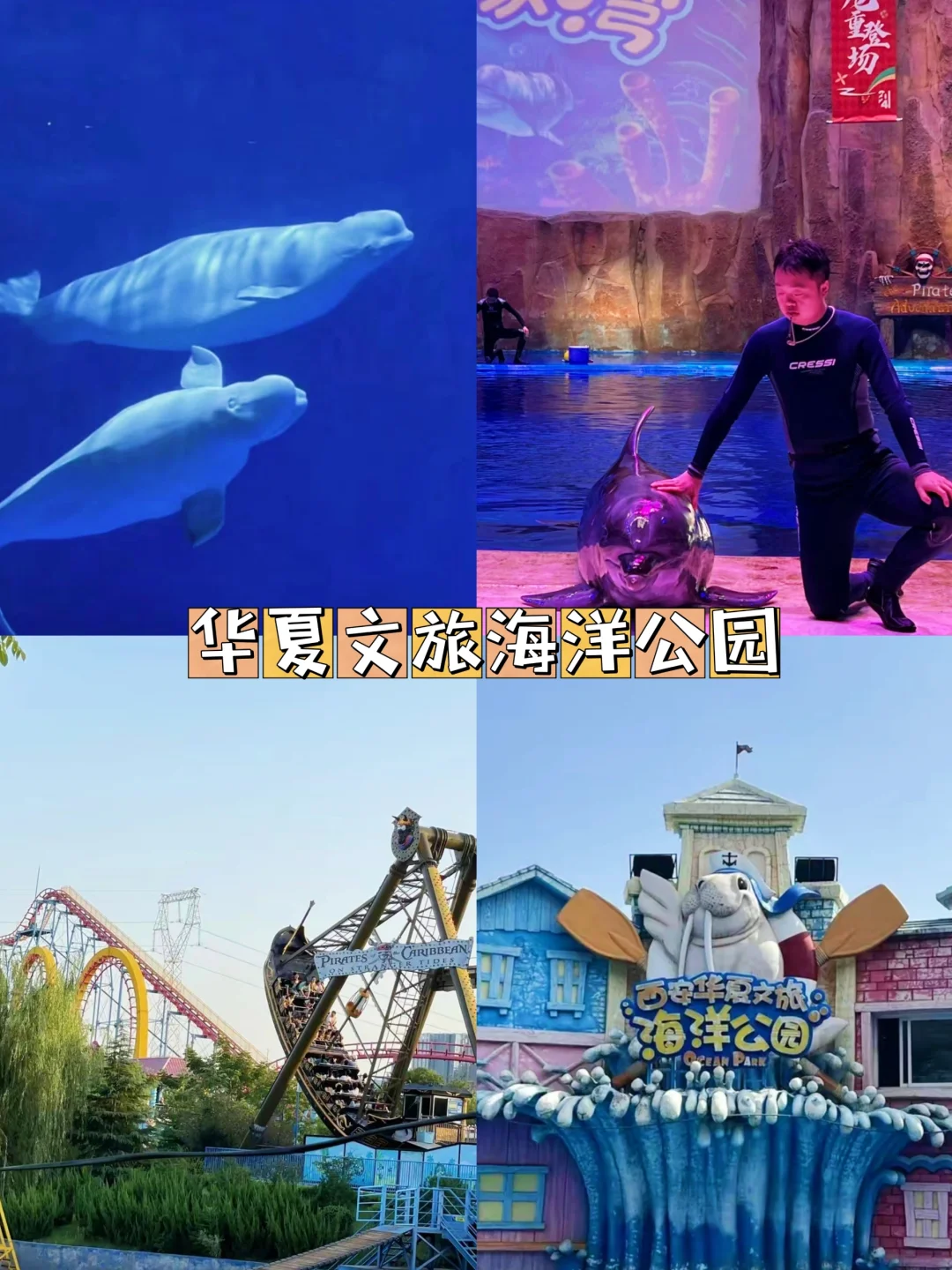 带娃来西安｜🔥不能错过六大景点｜附攻略