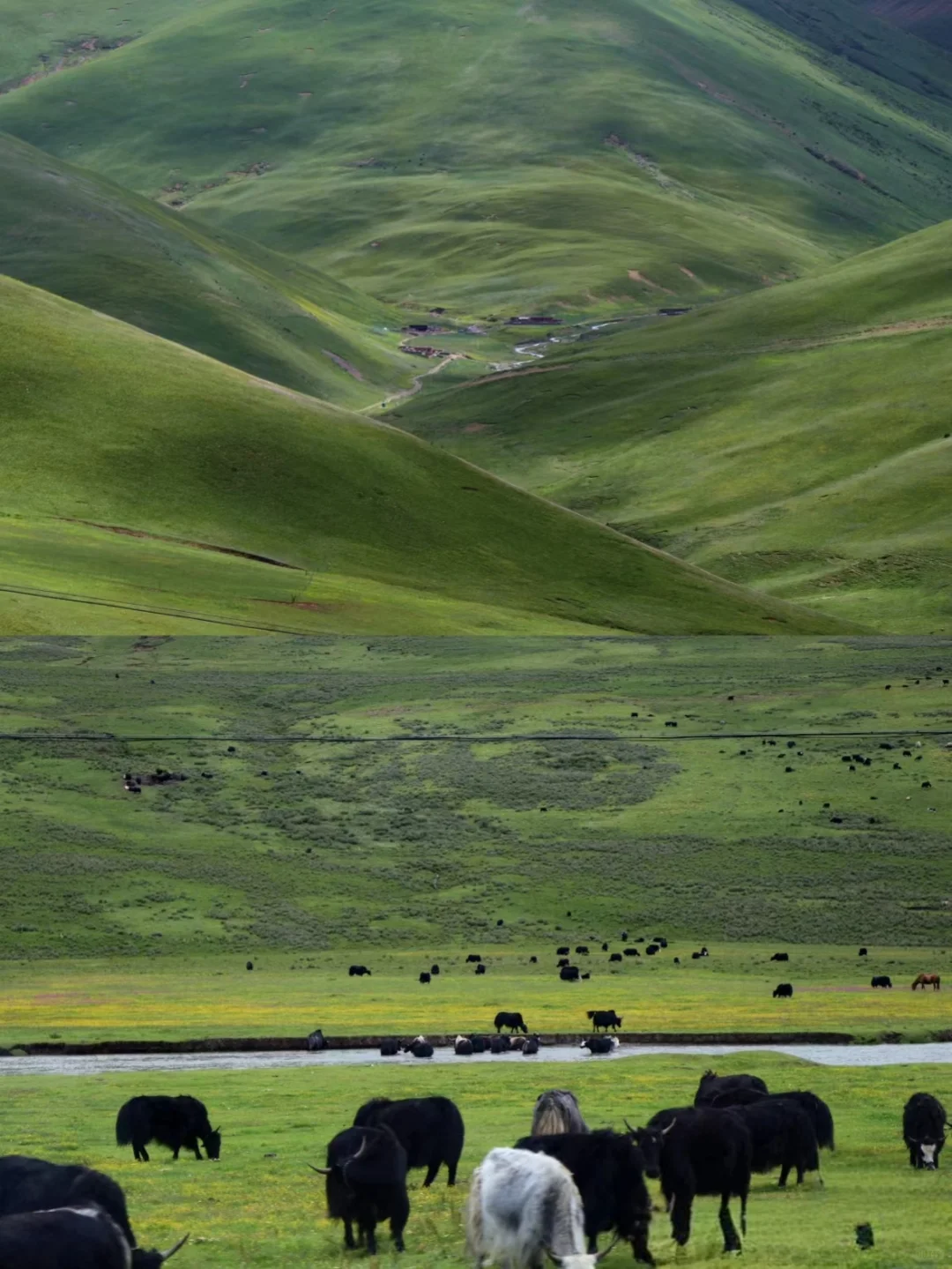 川西，真的美哭😭我