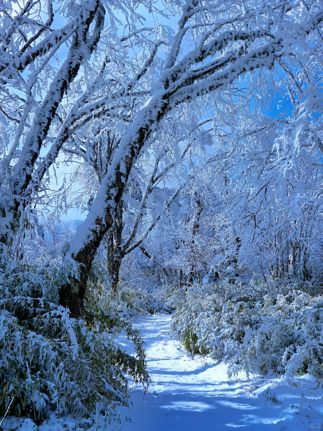 以为川西已经够美了，直到我去了这里…