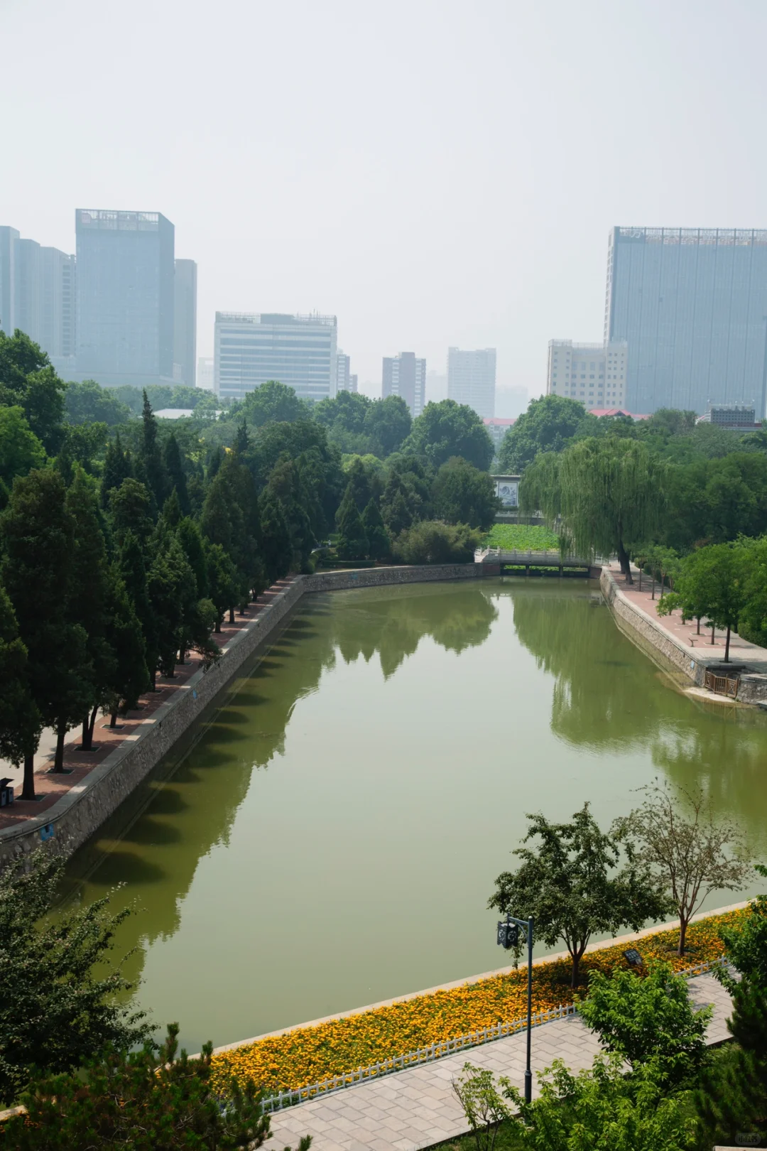 邯郸一日| 🌿武灵丛台➕邯郸市博物馆📜