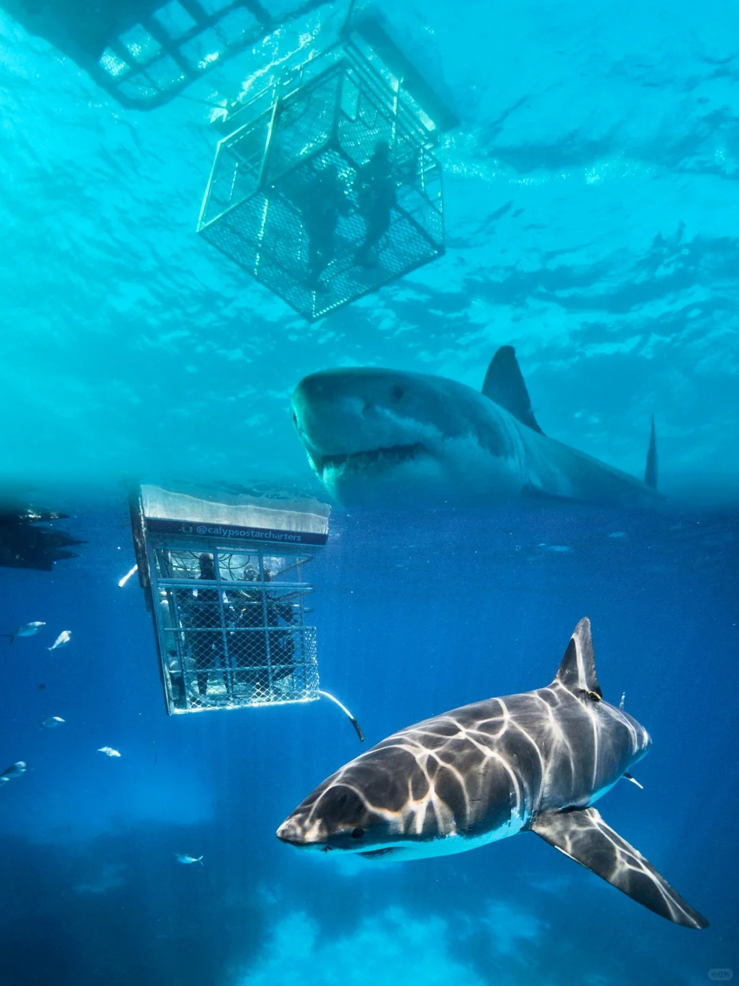 就现在，澳大利亚🇦🇺旅游季来啦～