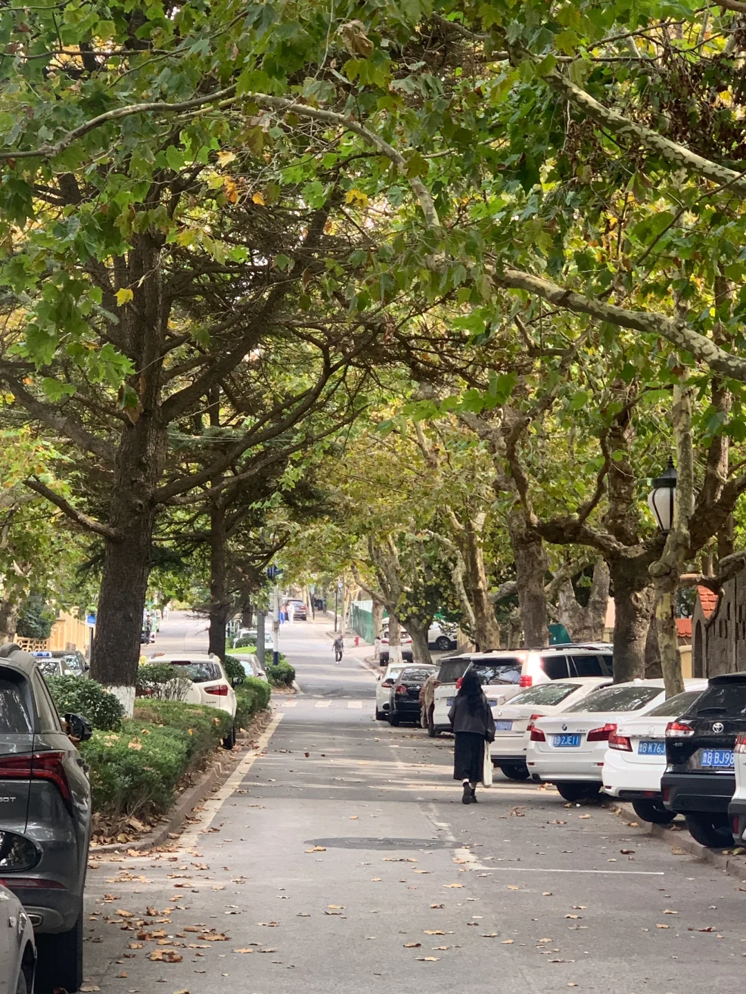 青岛｜漫步在青岛老城的时光里🍂