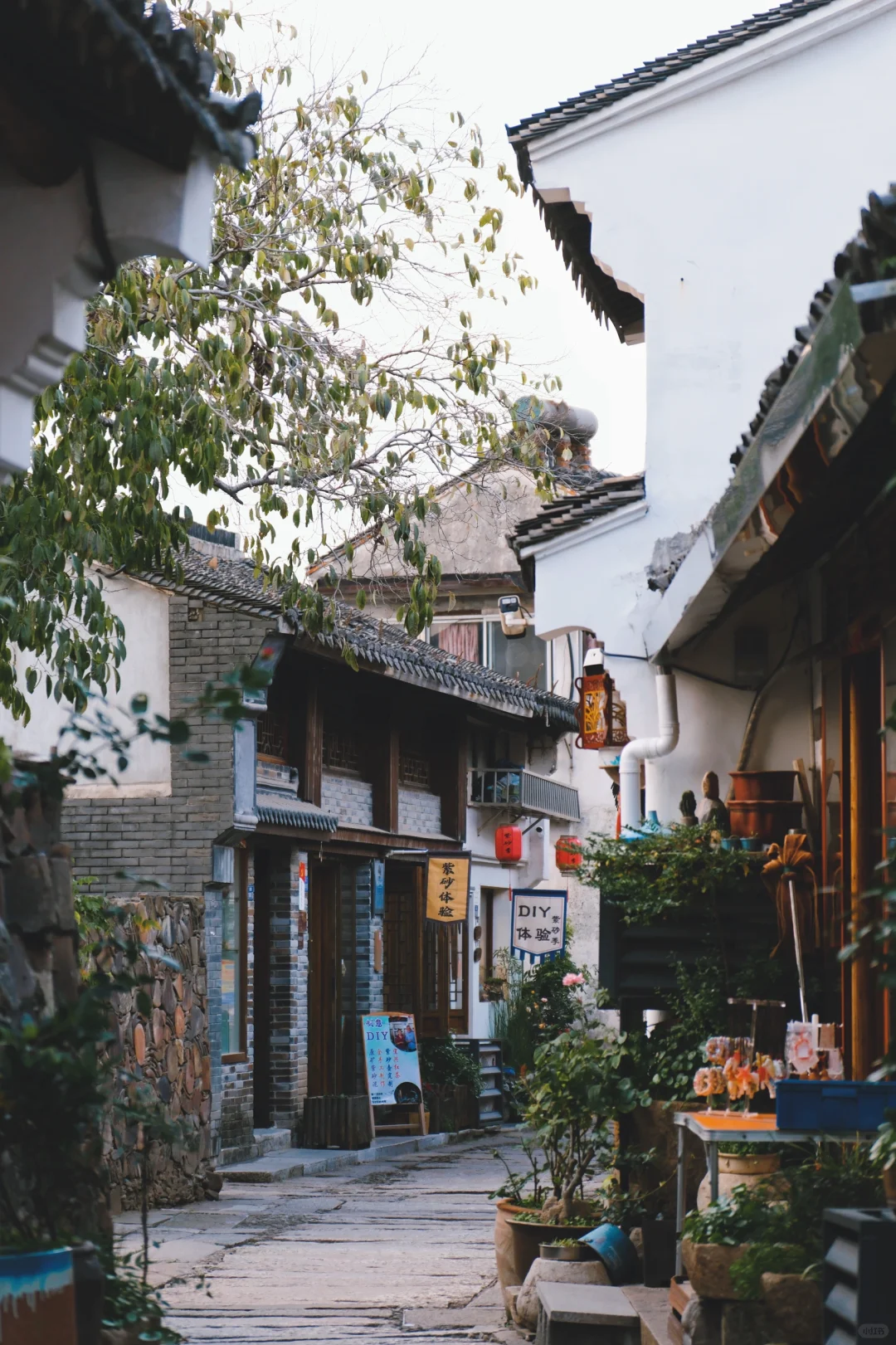 推荐几个适合春节旅行的国内小众地🙋我先来