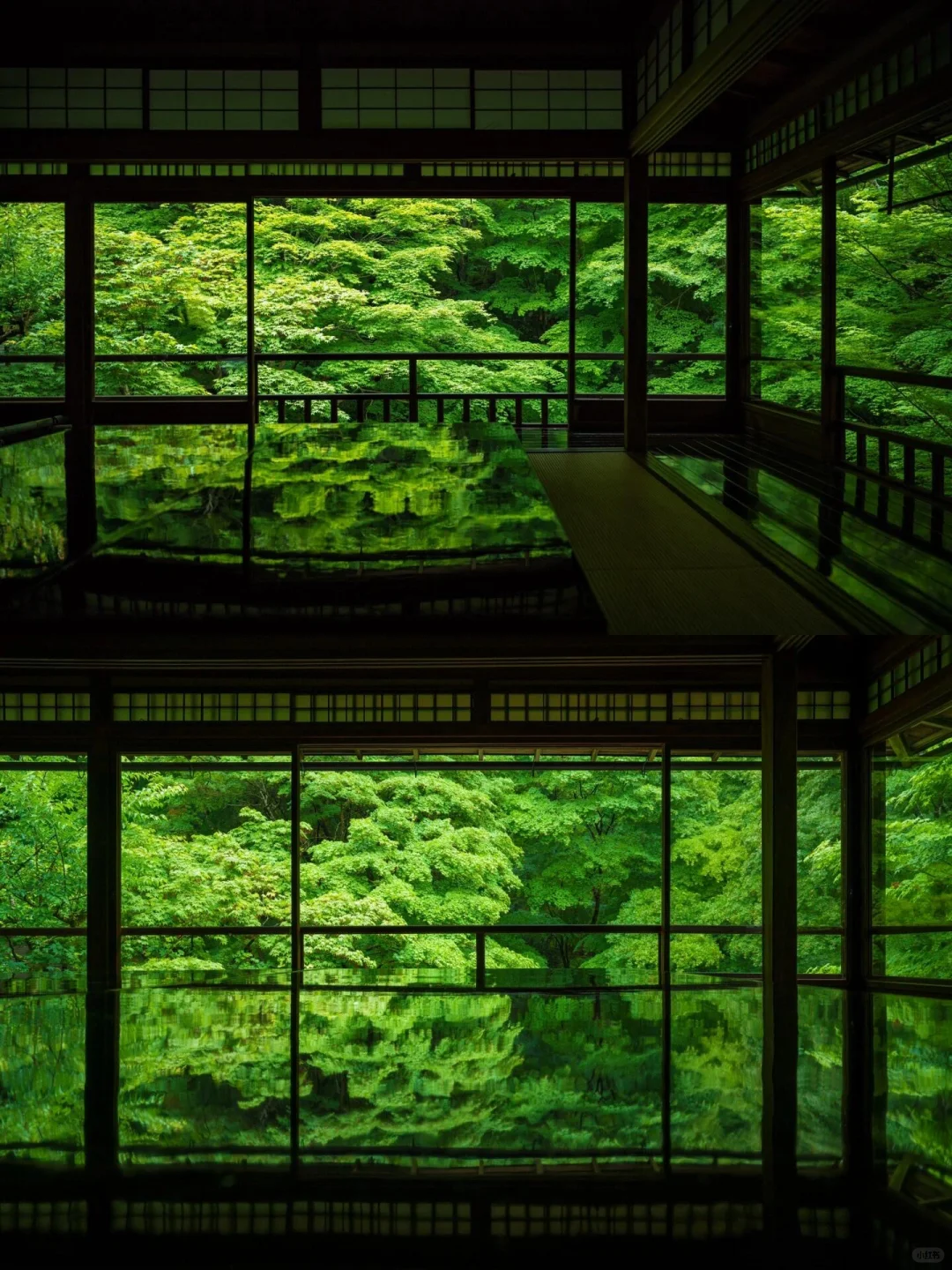 2024旅行结算｜生命就应该浪费在这样的地方