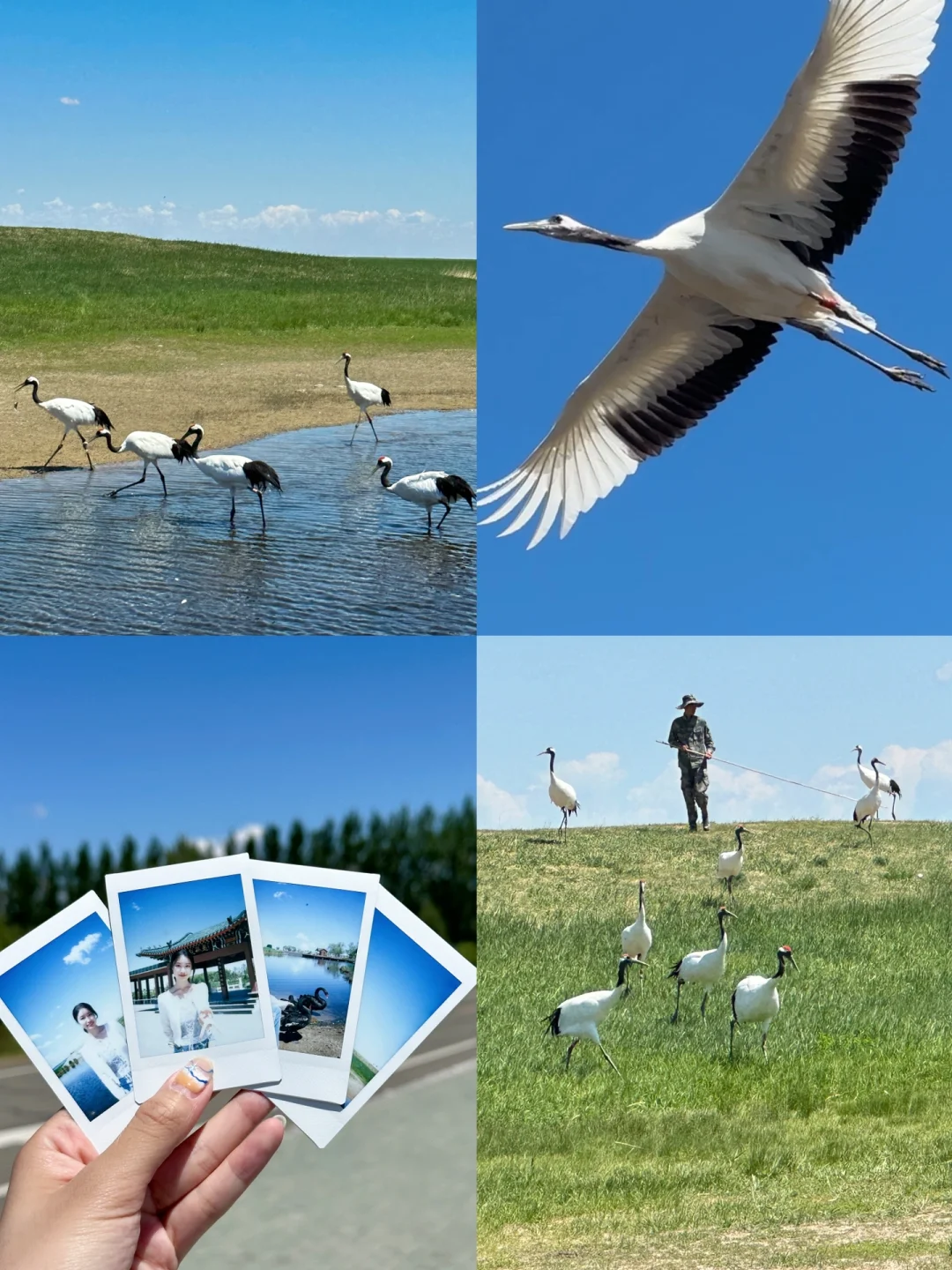 五一旅游‼️9⃣️个学生党小长假穷游地💰