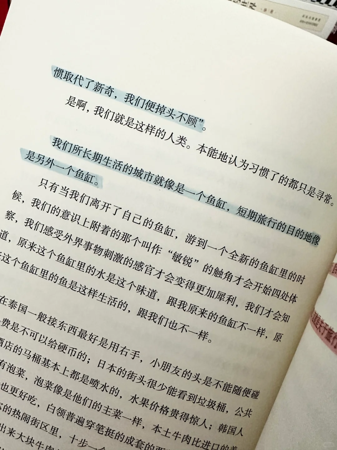 “旅行让我们继续热爱这个世界吧🎆”