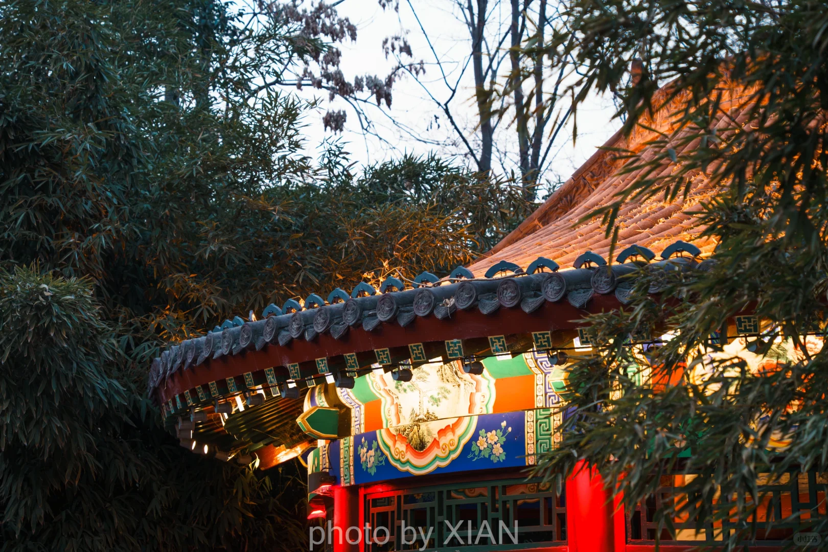 丛 台 留 念二〇二五.一.