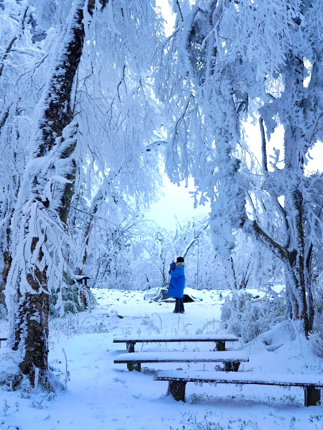 以为川西已经够美了，直到我去了这里…