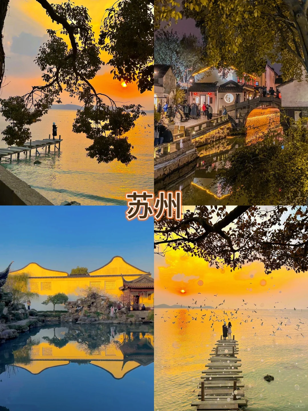 ✅寒假一定要去一次苏州吧！！太值了！！