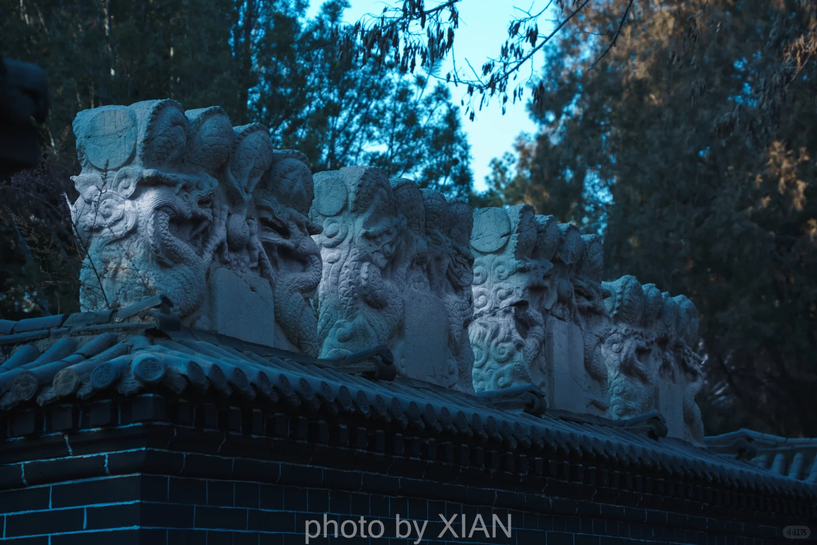 丛 台 留 念二〇二五.一.