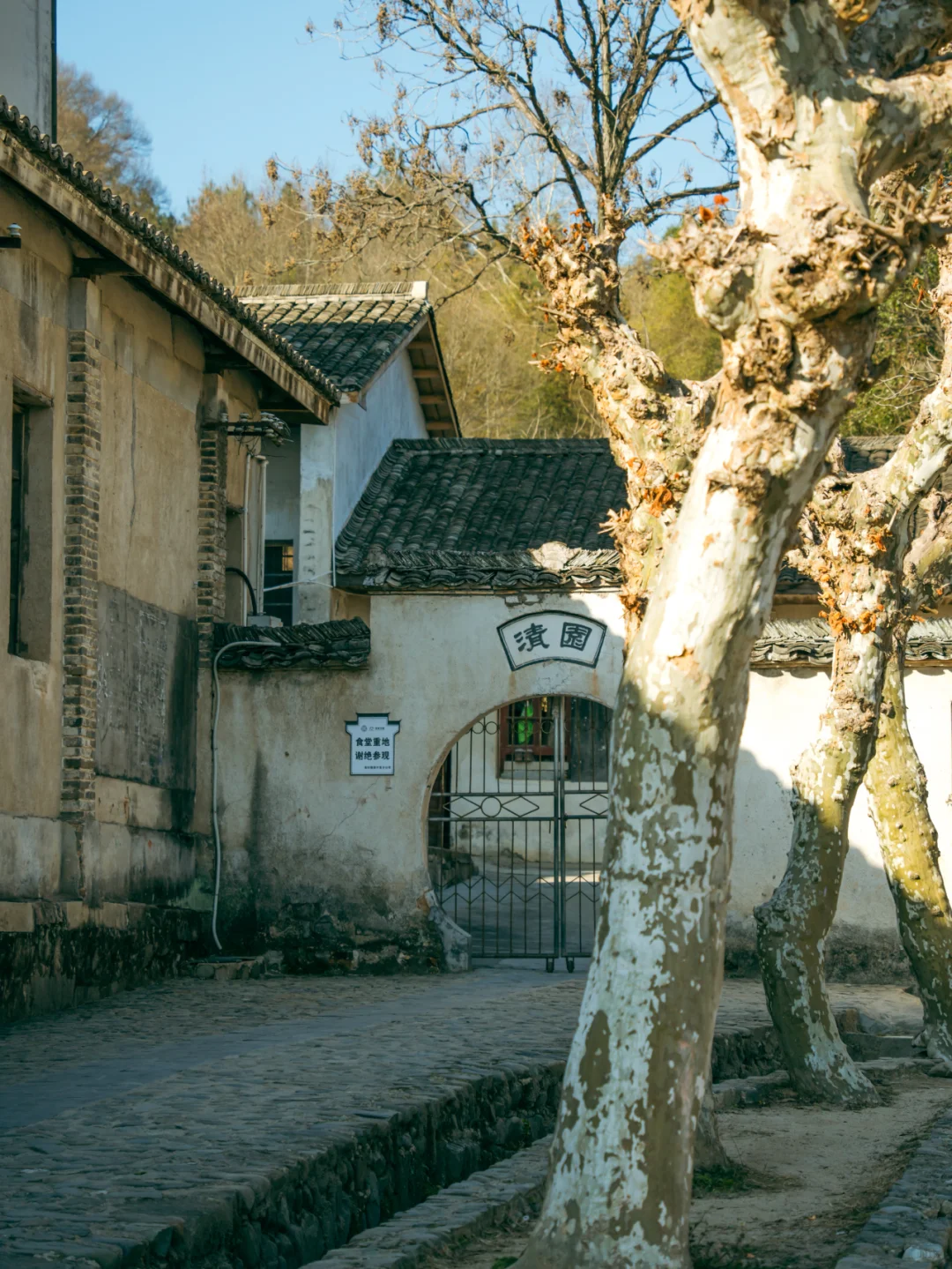被《国家地理》评为皖南最美古村有多绝‼