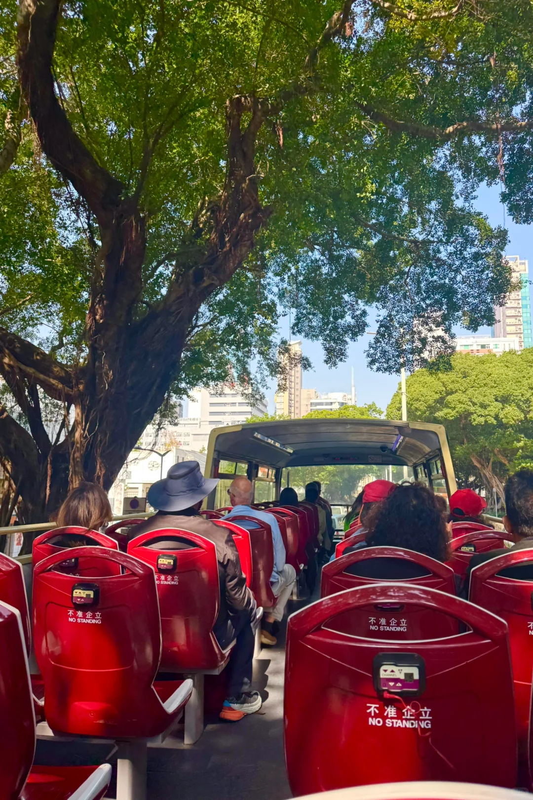 香港很少有人知的巴士游！轻松打卡16个景点！