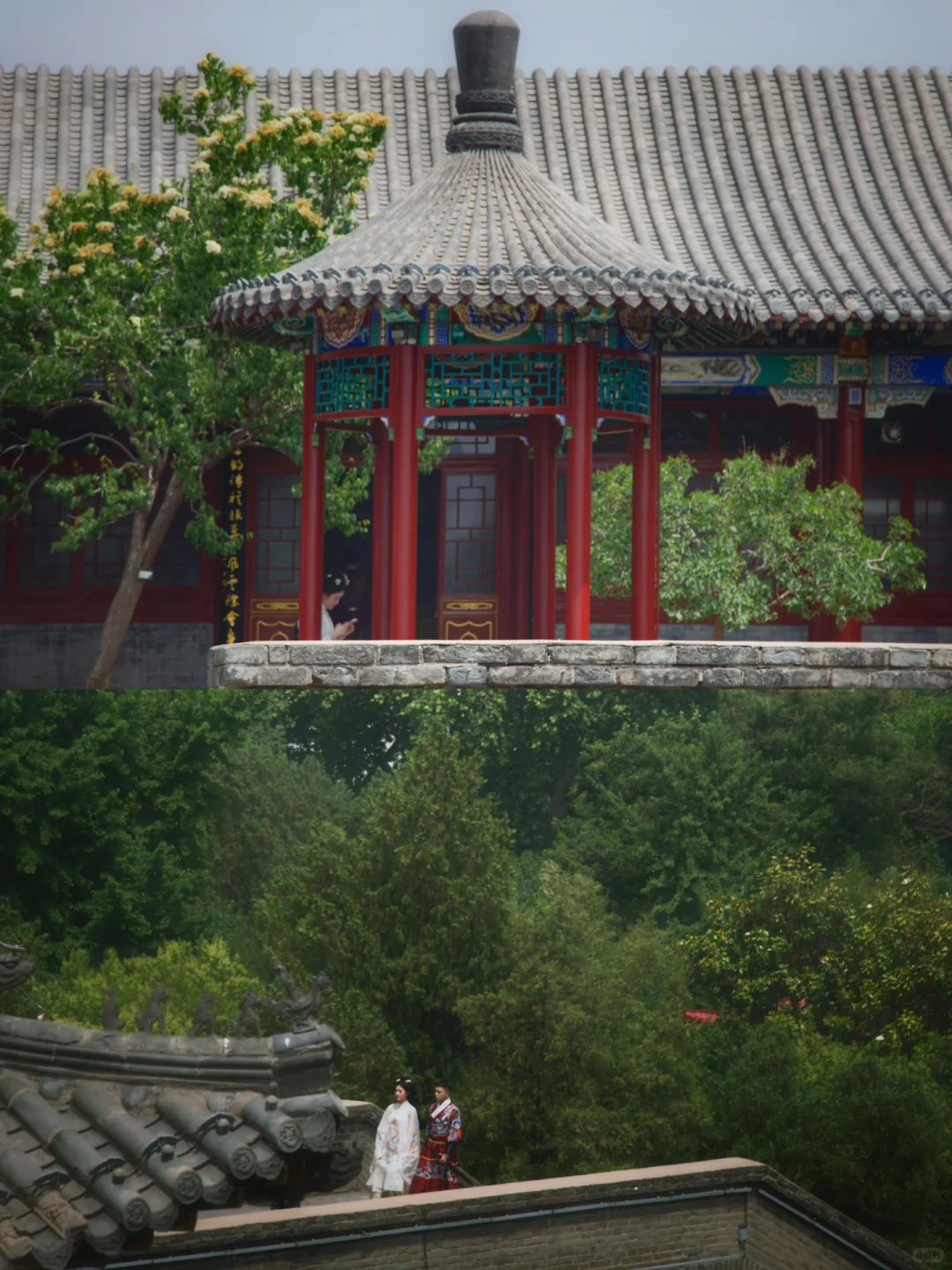 邯郸一日| 🌿武灵丛台➕邯郸市博物馆📜