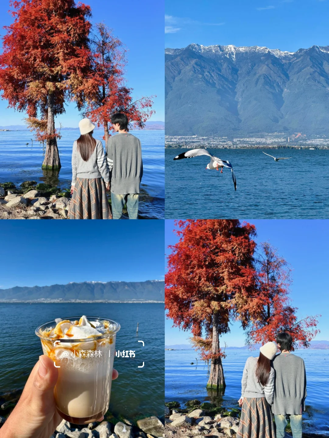 和男友去云南👫七天花了2800，分享感受❗